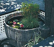 plant_tub_garden3.jpg